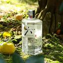 GIN0170-02.jpg