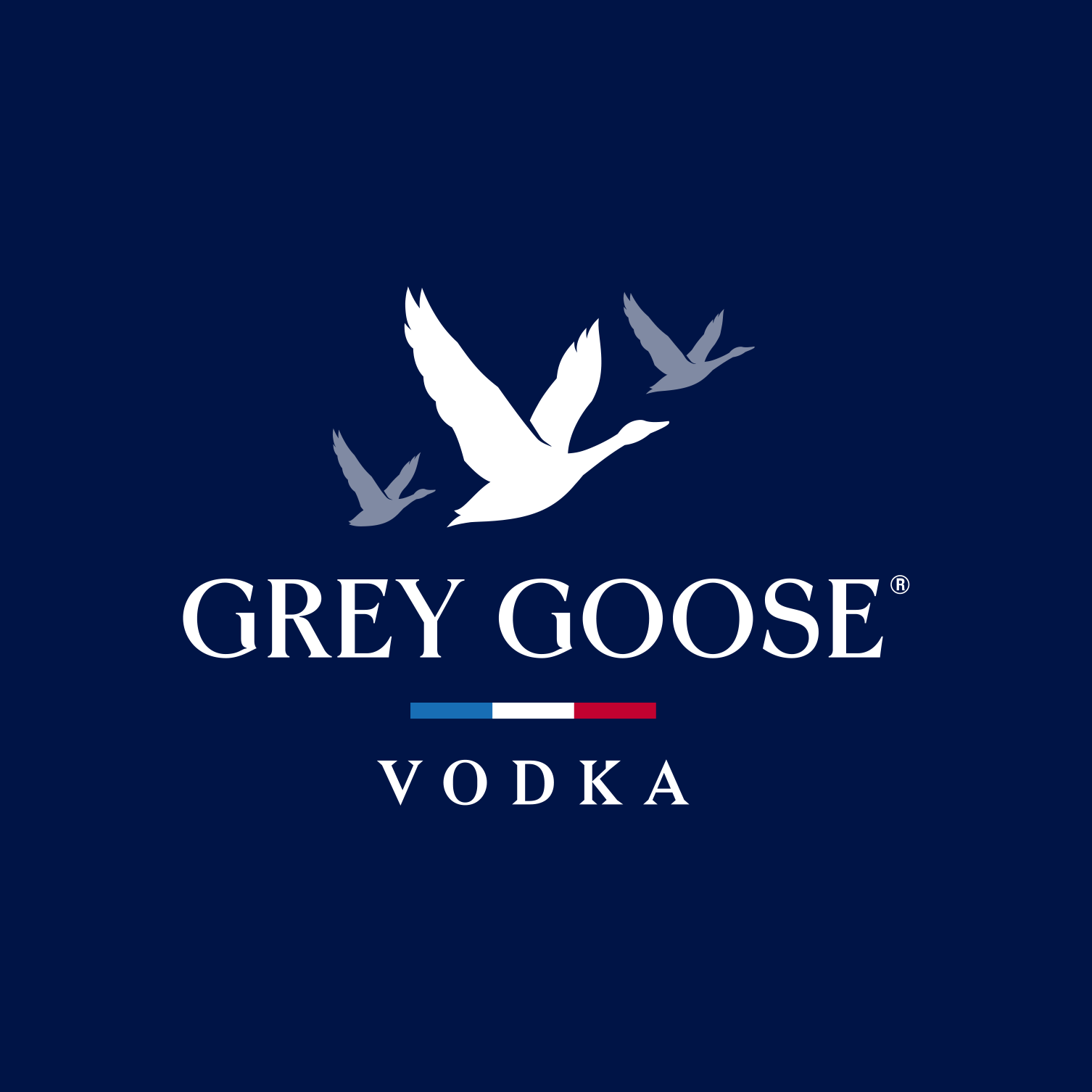 Discover Vodka Grey Goose on cavo.net